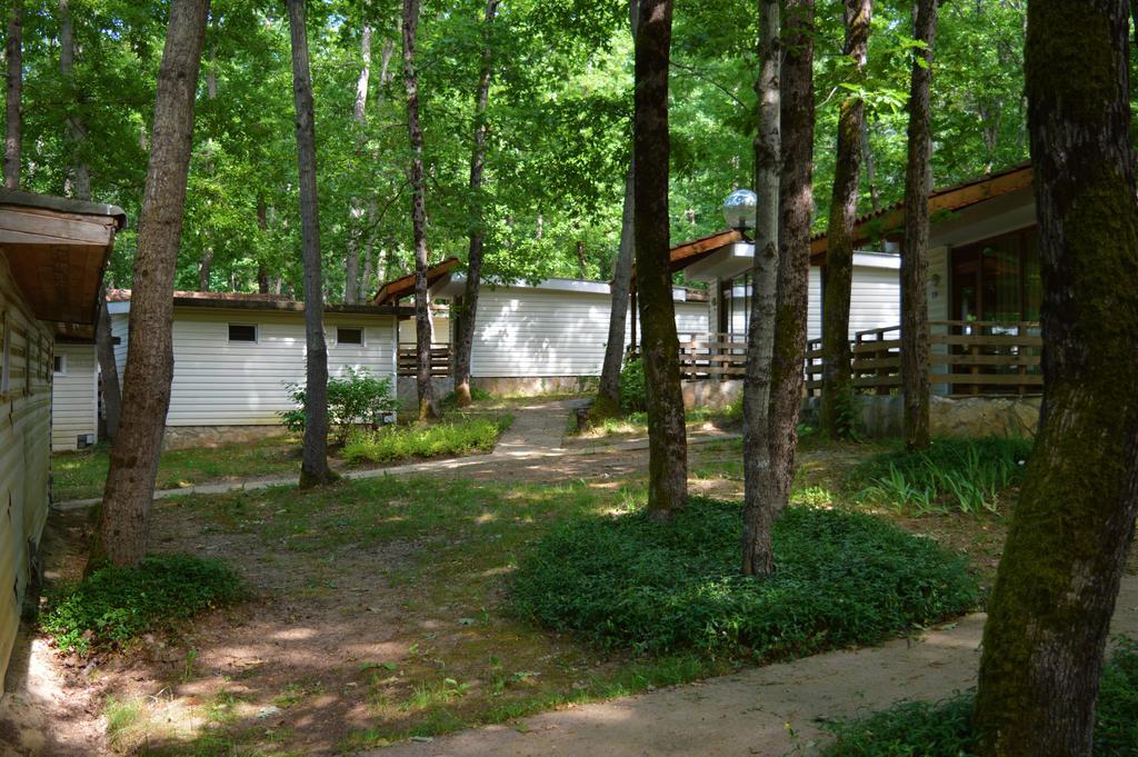 Villas Holidays Primorsko Exterior photo